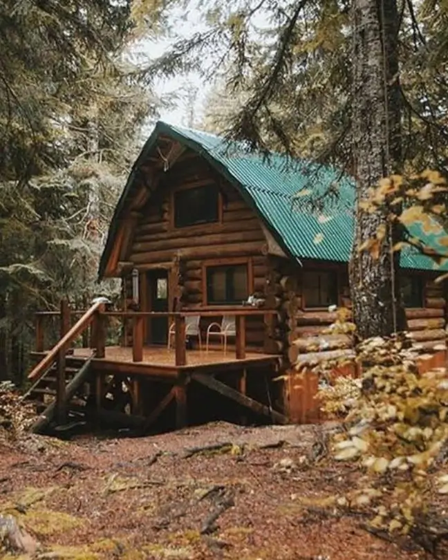 rustic tiny house